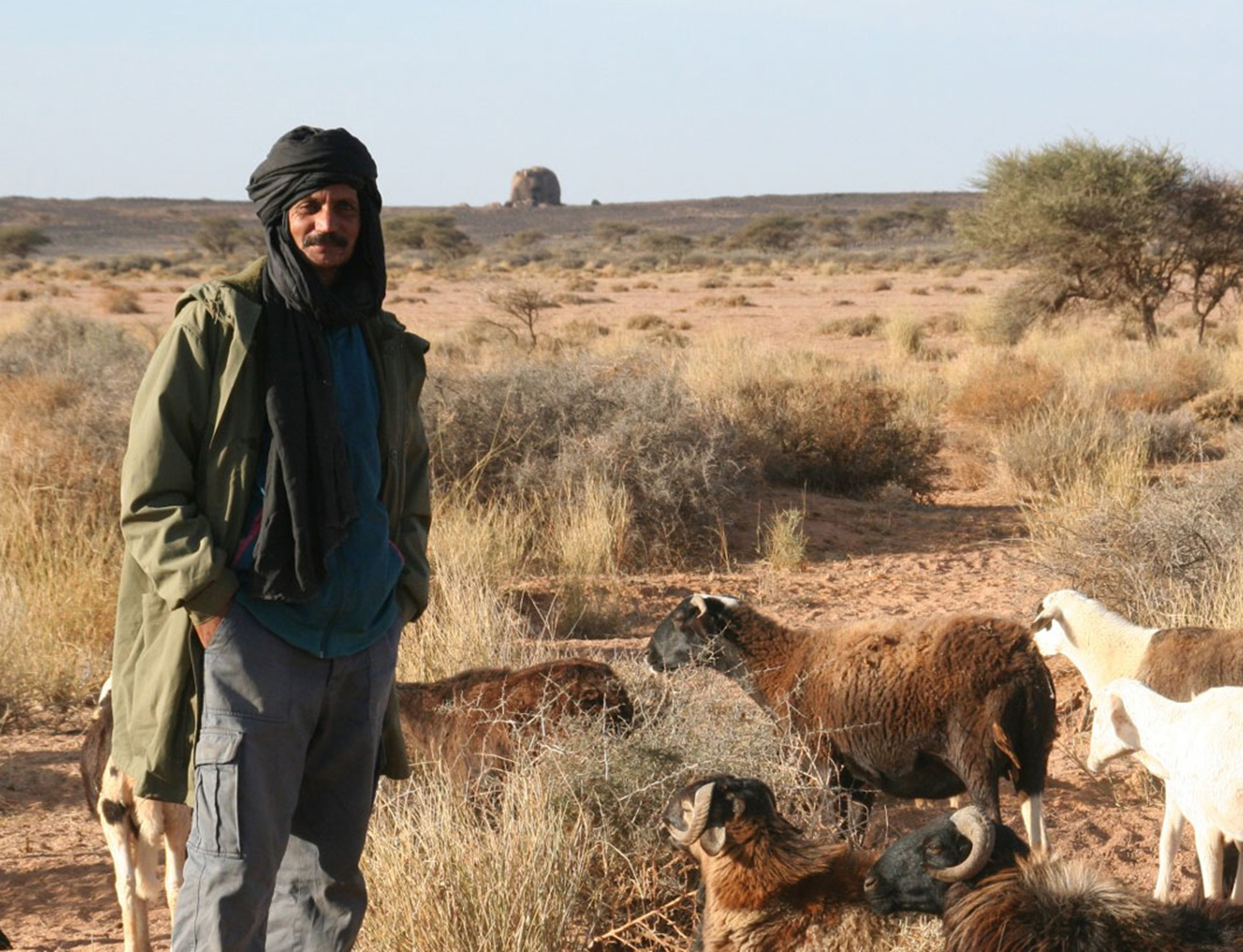 Progetto: LA.SA – Lavoro, salute e sovranità alimentare nei campi profughi Saharawi CUP n.E11D24000100009