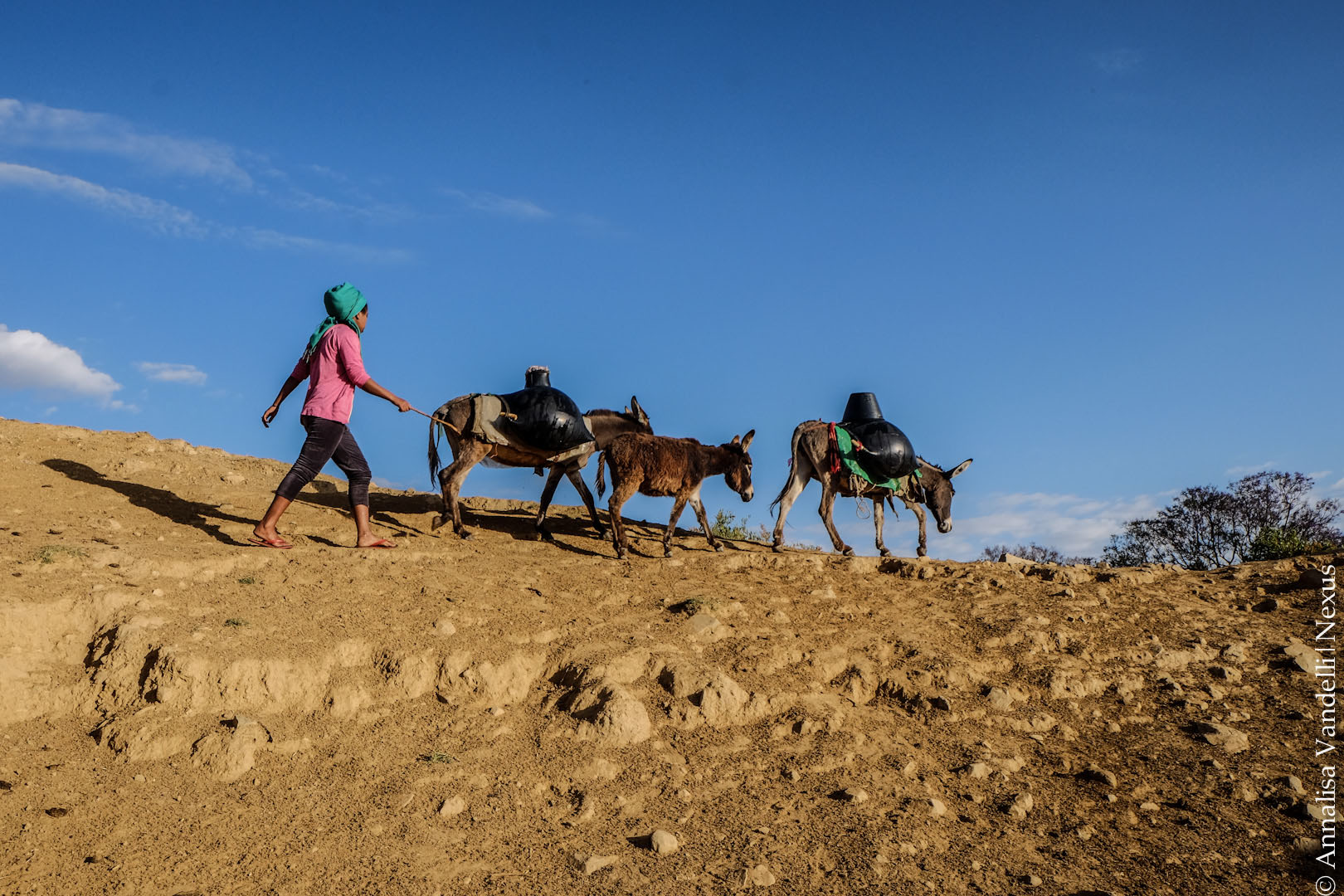 Progetto: Miglioramento della sicurezza alimentare e dell’accesso al mercato del lavoro in Eritrea – AID 012848/01/0